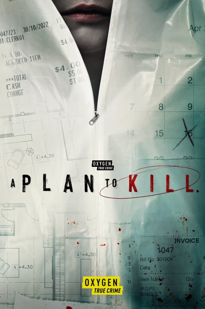 A Plan to Kill (2024 TV Series)